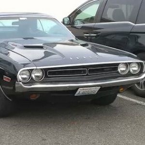 Meet your Posher, Travis